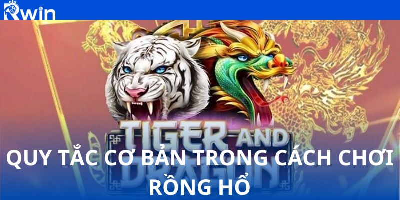 Nắm vững quy tắc – Dễ dàng làm quen với cách chơi Rồng Hổ